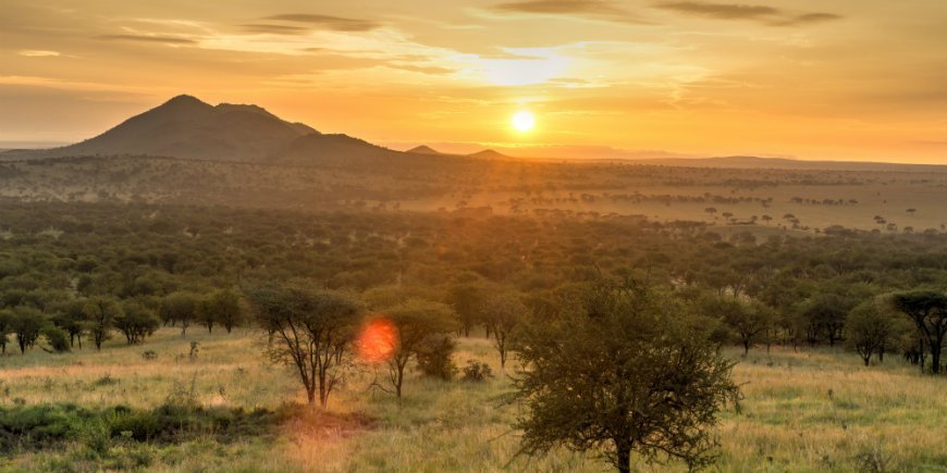 Sun in Serengeti