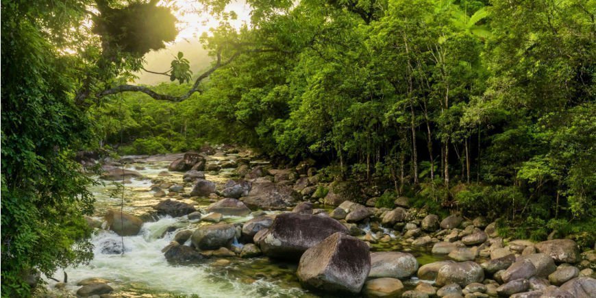 River in Daintree Rainforest