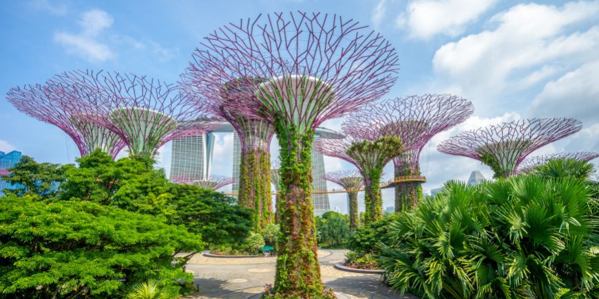 Gardens by the Bay in Singapore