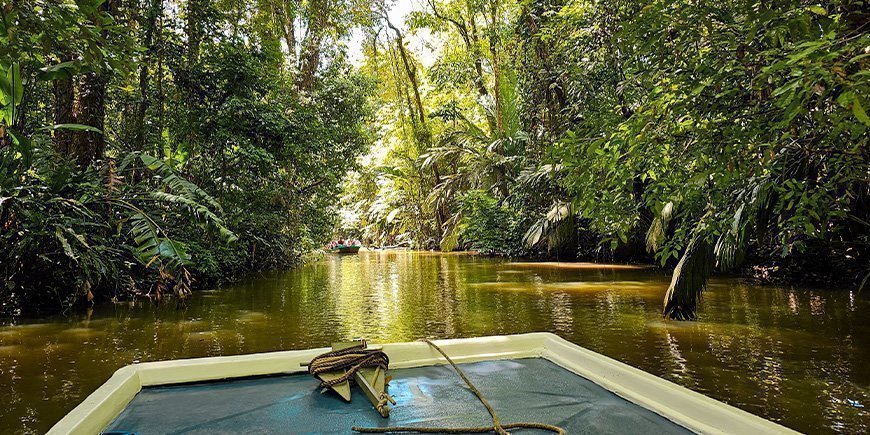 On a boat trip in the Tortuguero canals