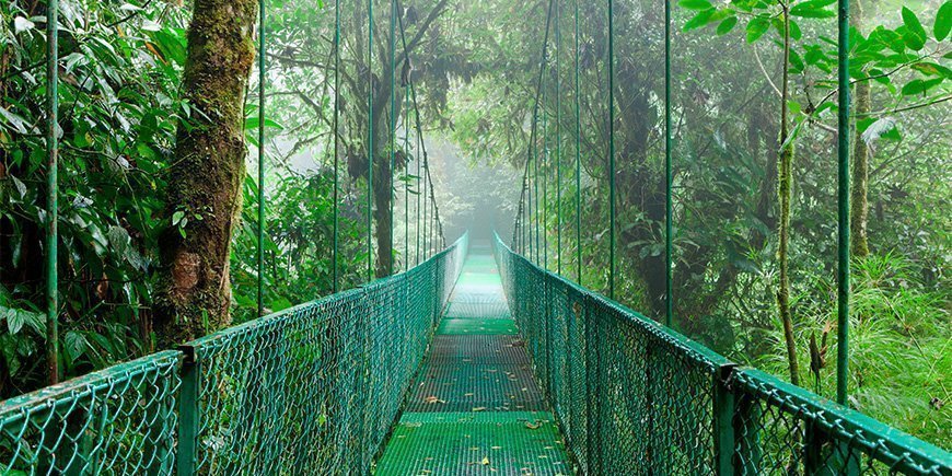 Fog surrounds suspension bridge in Monteverde, Costa Rica
