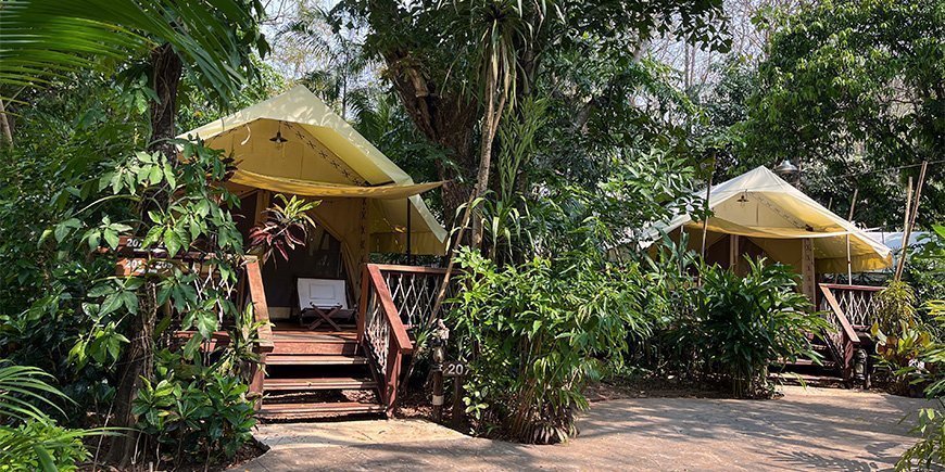 Glamping tents at Hintok River Camp