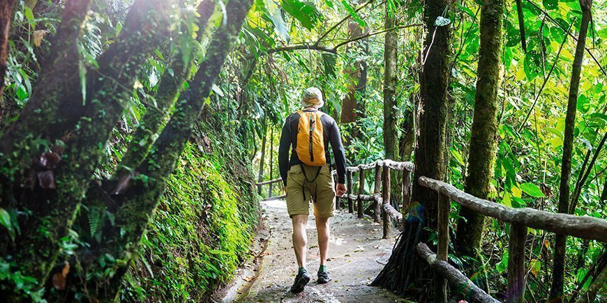 Man walking in one of Costa Rica's amazing green national parks