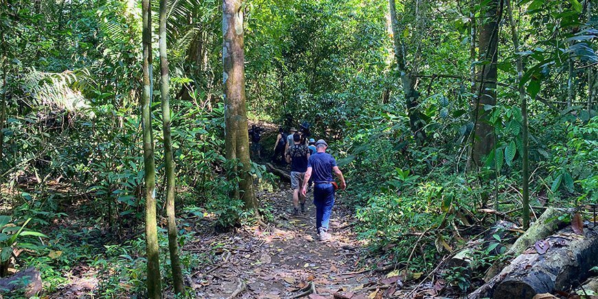 A group of people hiking in Corcovado National Park in Costa Rica