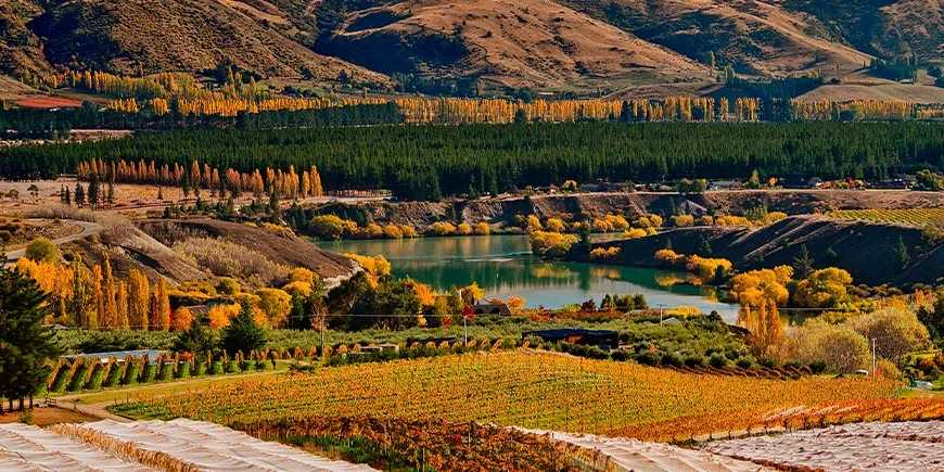 Central Otago in autumn colours