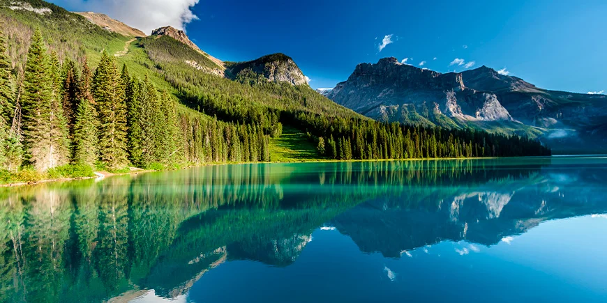 The forest reflected in the lake at Emerald Lake